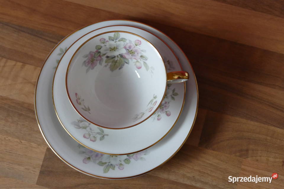 Trio porcelanowe Tirschenreuth Porcelana i szkło Słupsk