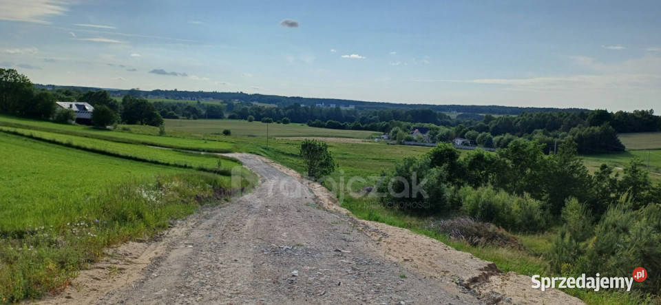 Grunt Ustarbowo 1000m2