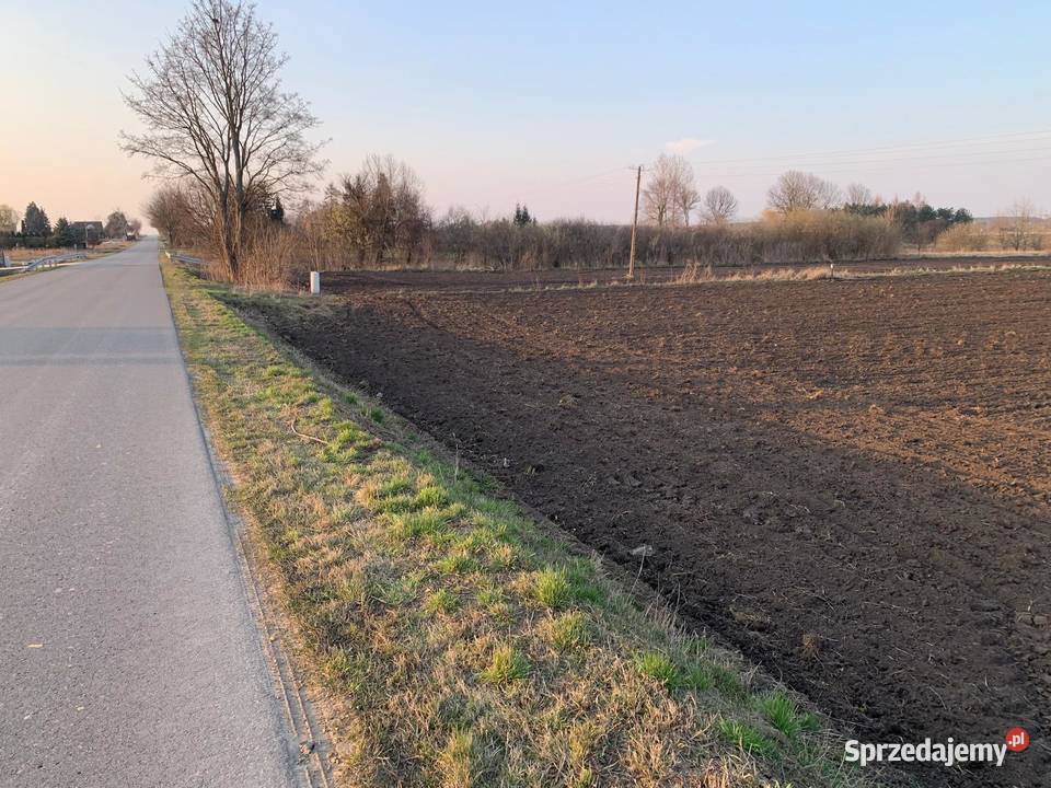 Działka 1h Zagrodowabudowana lubelskie Łuszczów Drugi