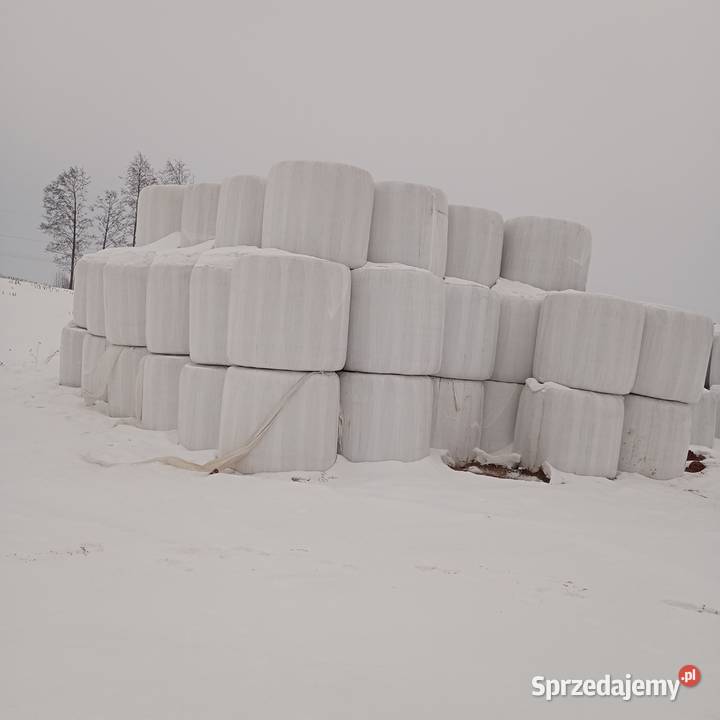 Sprzedam słome owiniętą prasie Mchele