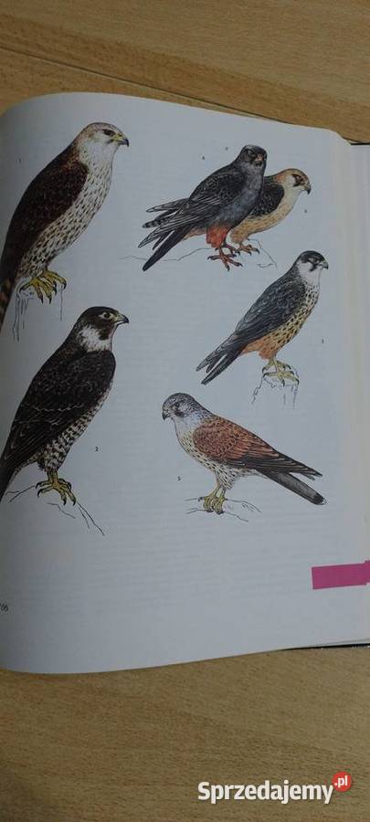 Świat zwierząt Wydanie 3 Lublin