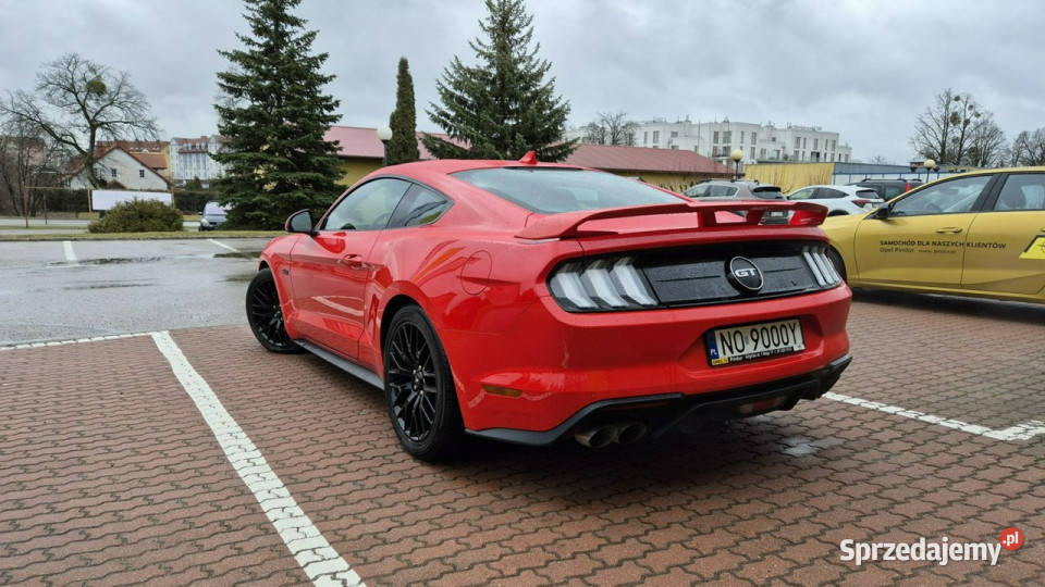 Ford Mustang Ford Mustang GT Stan Idealny Cesja garażowany warmińsko-mazurskie Giżycko