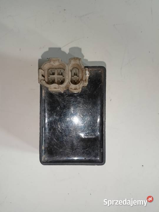 Moduł Generic Triger 2T Turek