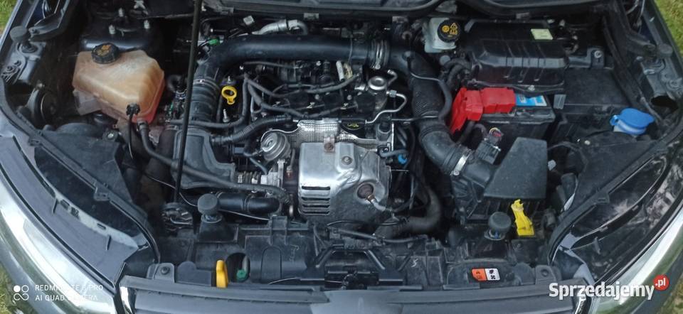 Ford Ecosport Zarejestrowany w Polsce Prudnik