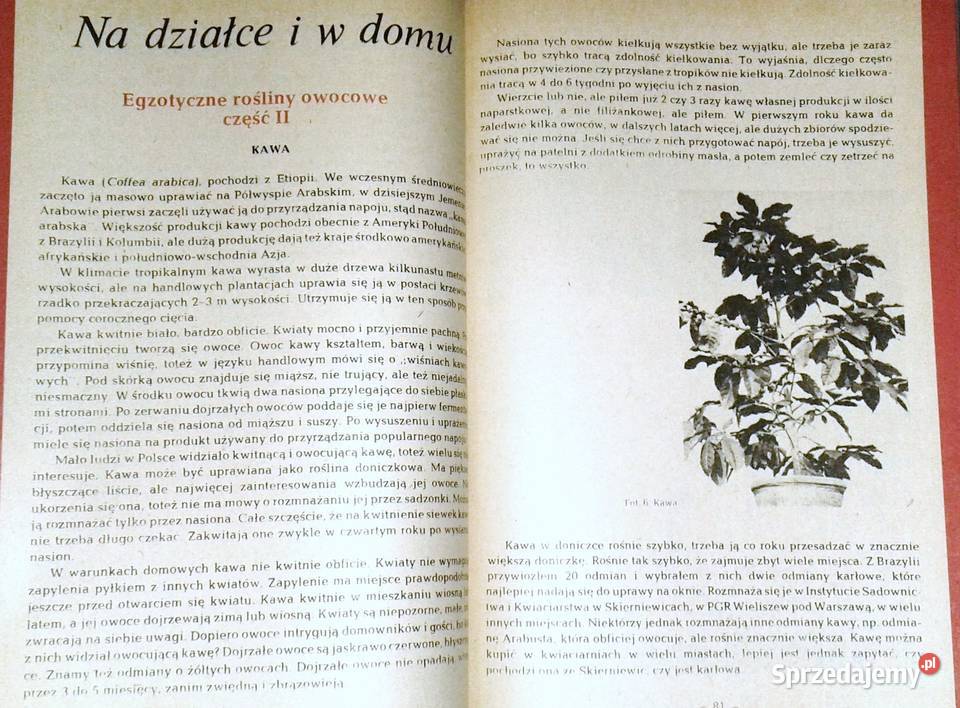 O działce Eugeniusz Kondracki i inni Chełm