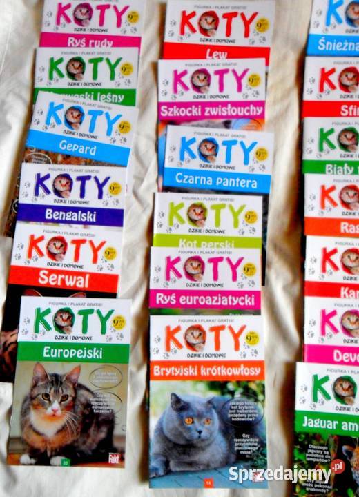 Koty Zestaw czasopism i figurek lubelskie Biała Podlaska sprzedam