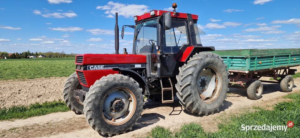 Case International 1056XL Czerwony Kościół