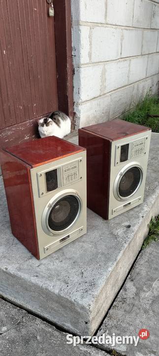 Kolumny Głośniki Kino Dom 10ac 225 Vintage Poświętne