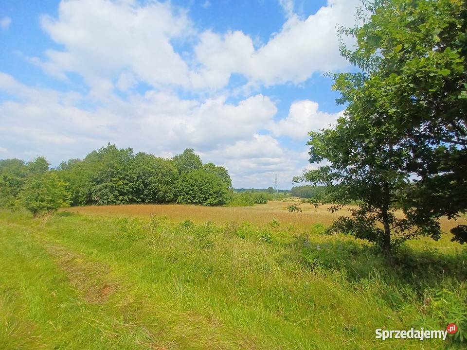 Działka budowlana Kołtki sprzedam