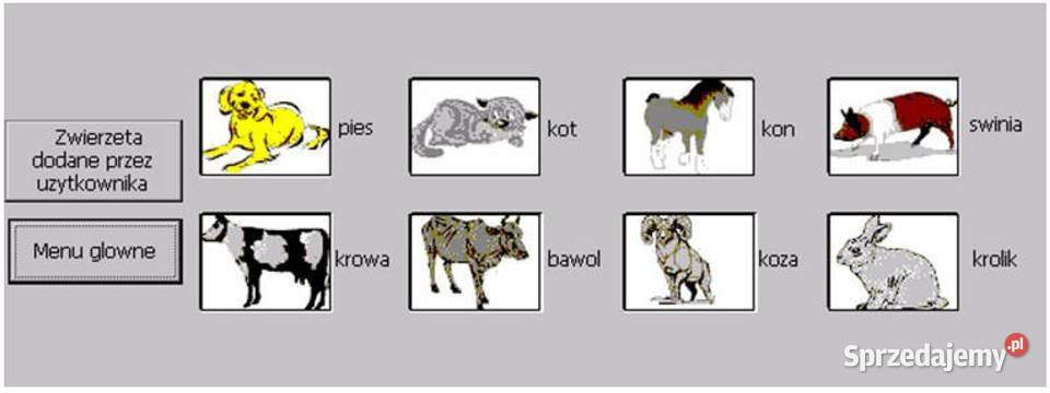 Analizator biochemiczny Rayto 1904C Lutomiersk