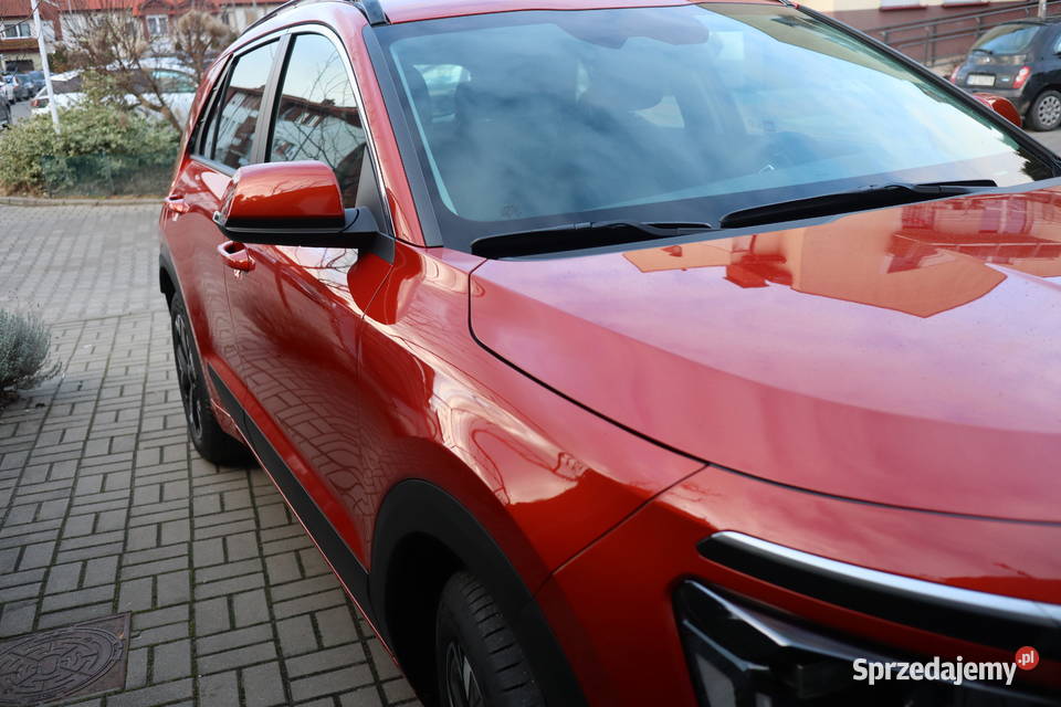 Kia ENiro polski salon pierwszy właściciel wielkopolskie Poznań