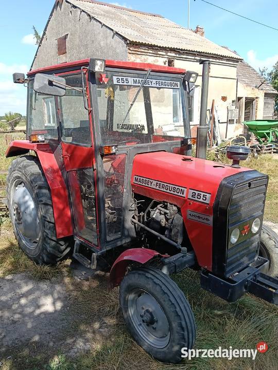 Massey Ferguson Ciągniki mazowieckie Szczawin Kościelny