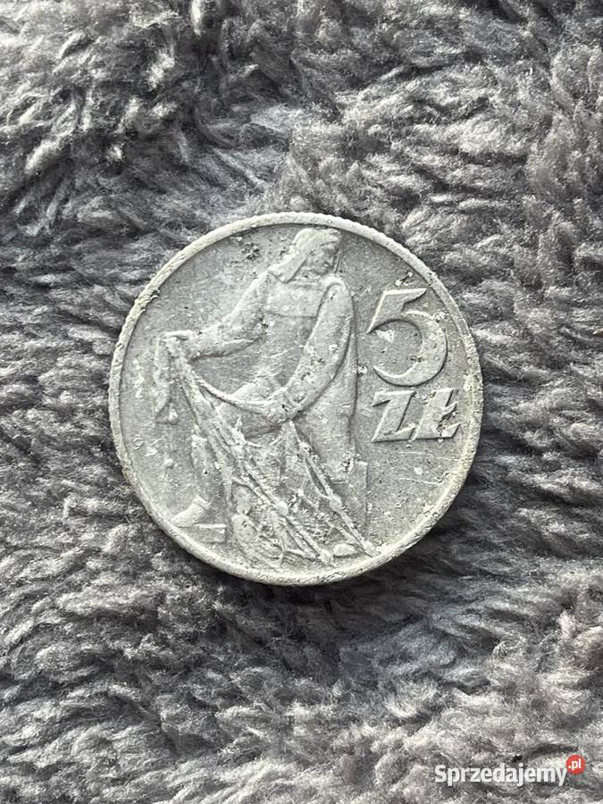 Moneta 5 z 1959 Budzów sprzedam