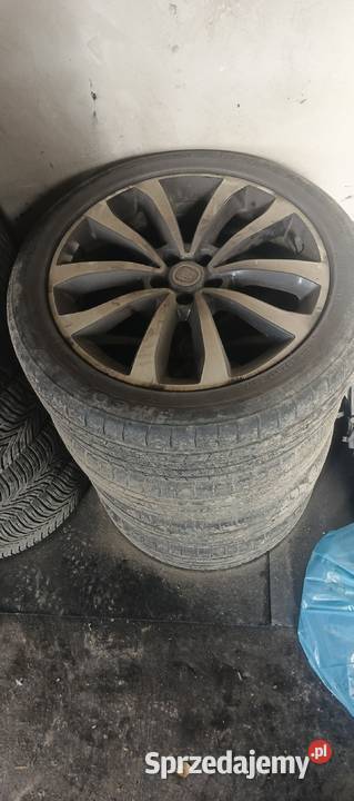 TIPO LOUNGE 14 TJet LPG kurtyny powietrzne