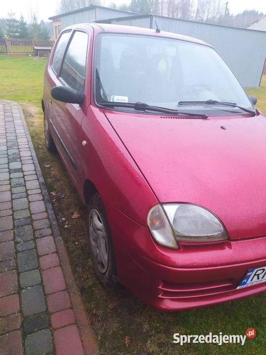 Fiat Seicento 11 Rok produkcji 2004 podkarpackie Dulcza Mała