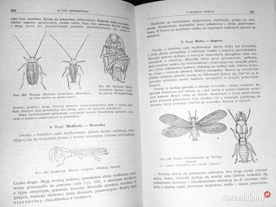 Zoologia Bezkręgowce Tom 12 Eugeniusz Grabda Chełm sprzedam