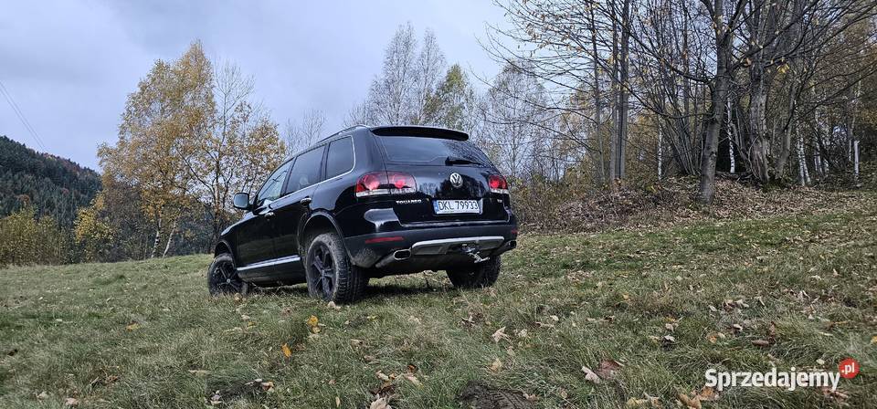 Touareg spotkaniu z sarną Touareg Przyborów