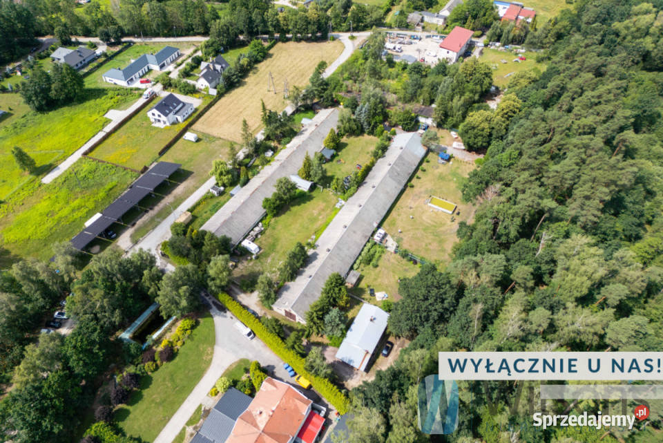 Działka 10023m2 Borowina Topolowa