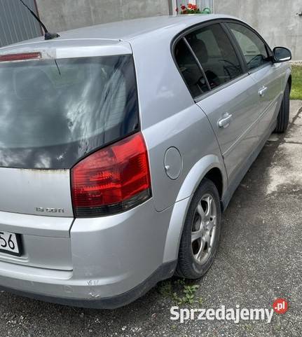 Opel Signum 19 diesel Olszyna