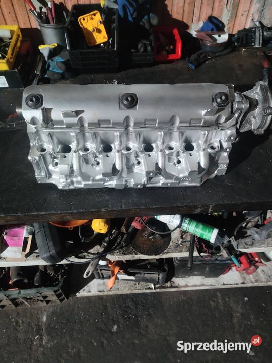 Głowica 19 dci Wyrzysk sprzedam