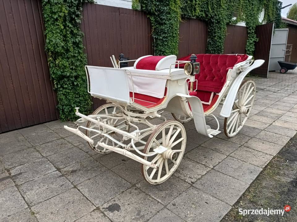 Powóz Konny Milord Bryczka
