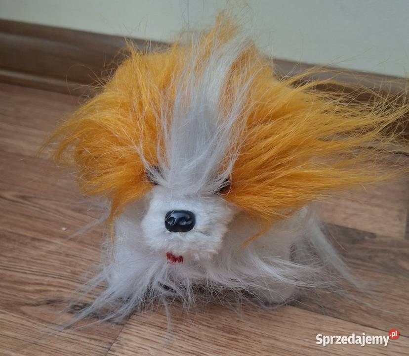 Maskotka tańczący pies Zielona Góra sprzedam