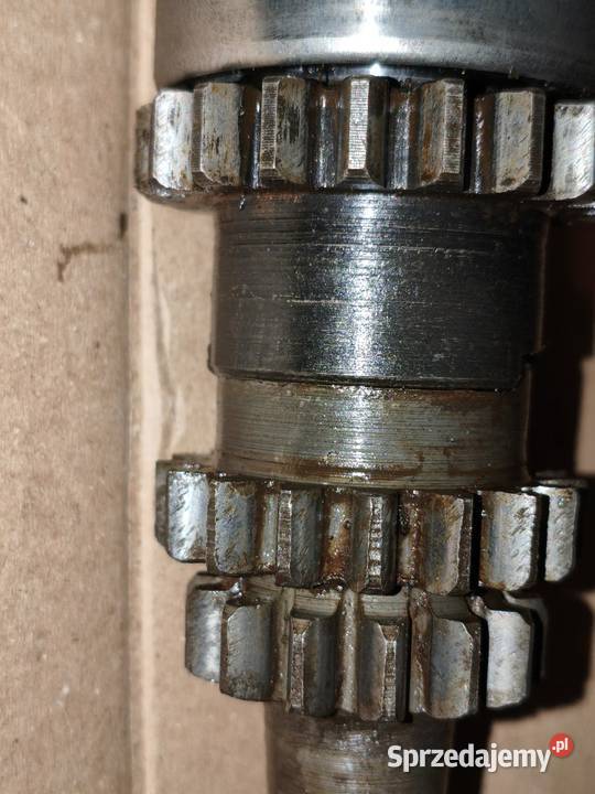 Wał skrzyni biegów że wstecznym biegiem Dniepr wielkopolskie