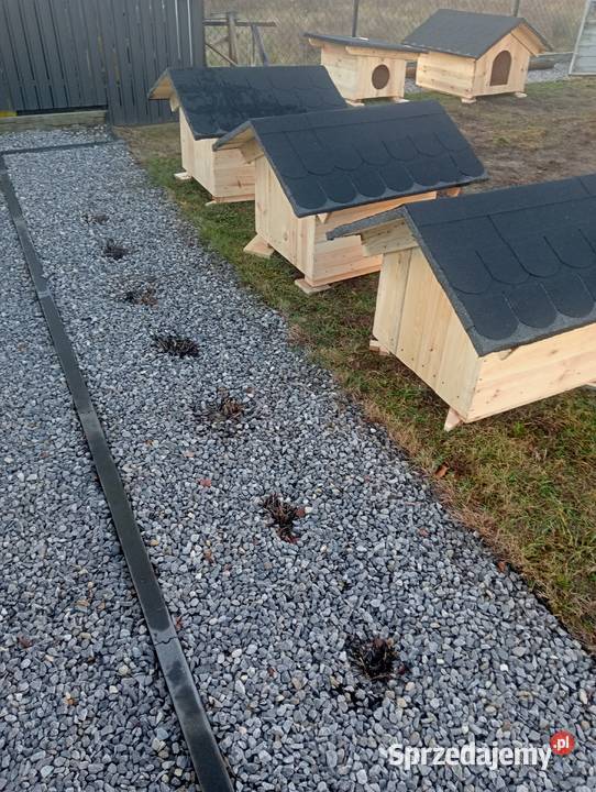 Buda psa legowisko Pionki sprzedam