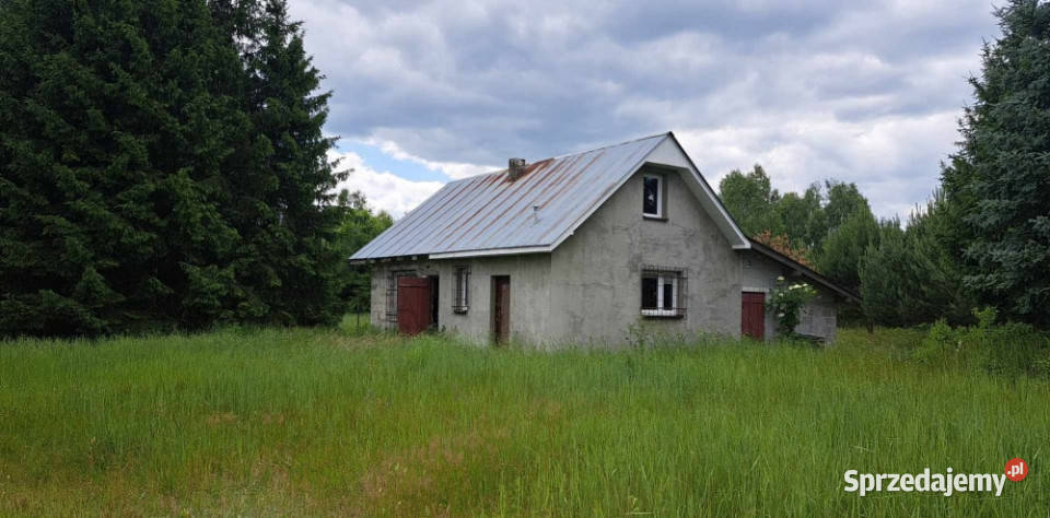 Sprzedam siedlisko 4000 m2 sprzedam