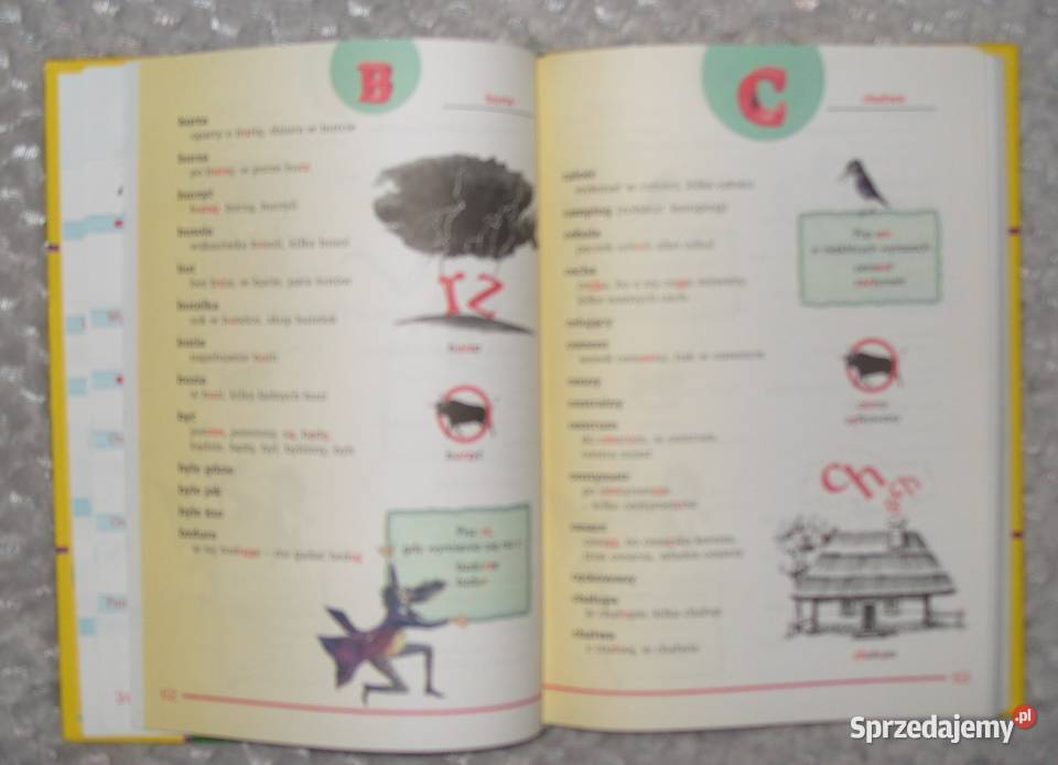 Nowy Ilustrowany Słownik Ortograficzny klas IVI