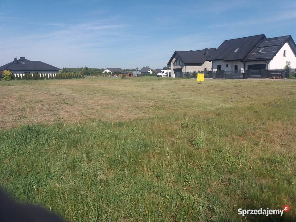 Czarków gm Wielowieś sprzeda właściciel 241zł/m2 Grunty i działki sprzedam