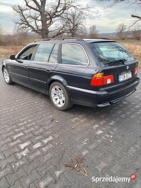BMW E39 30d 2001 Motoryzacja Zielona Góra sprzedam