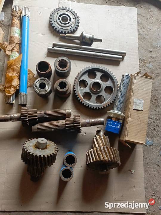 Wał Tuleja Koło Bizon Kuźnica