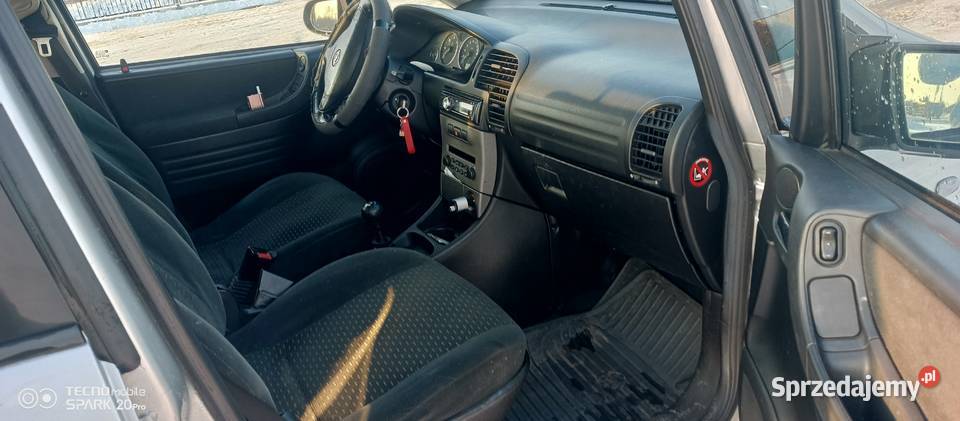 Fajna Zafirka 20 Stromiec