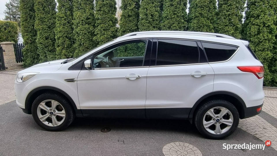 Ford Kuga Climatronic 150 GWARANCJA Zakup Door SUV mazowieckie Płońsk