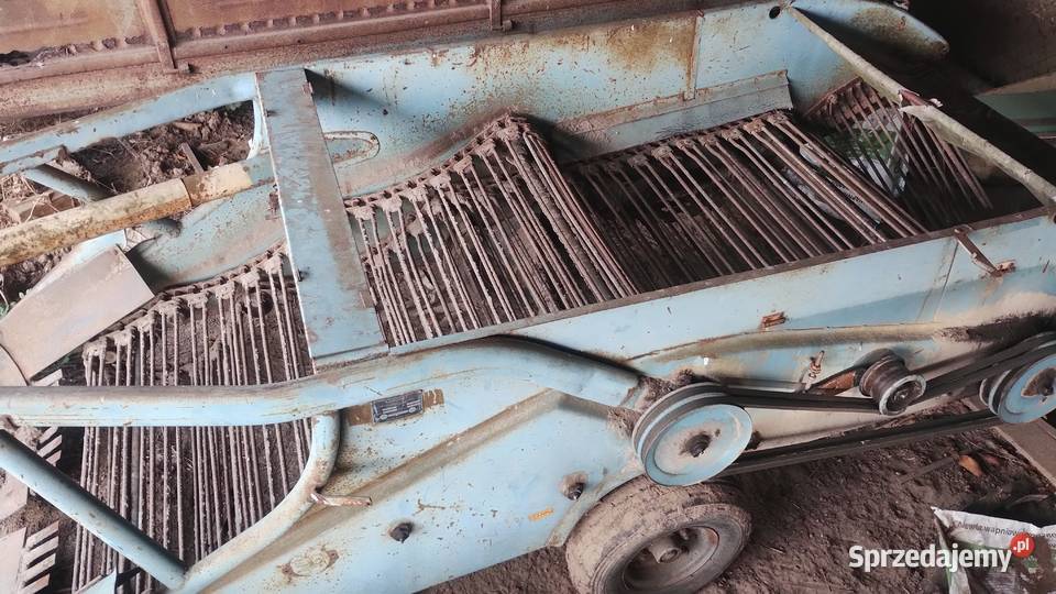 Kopaczka do ziemniaków Agromasz Sierzchowo