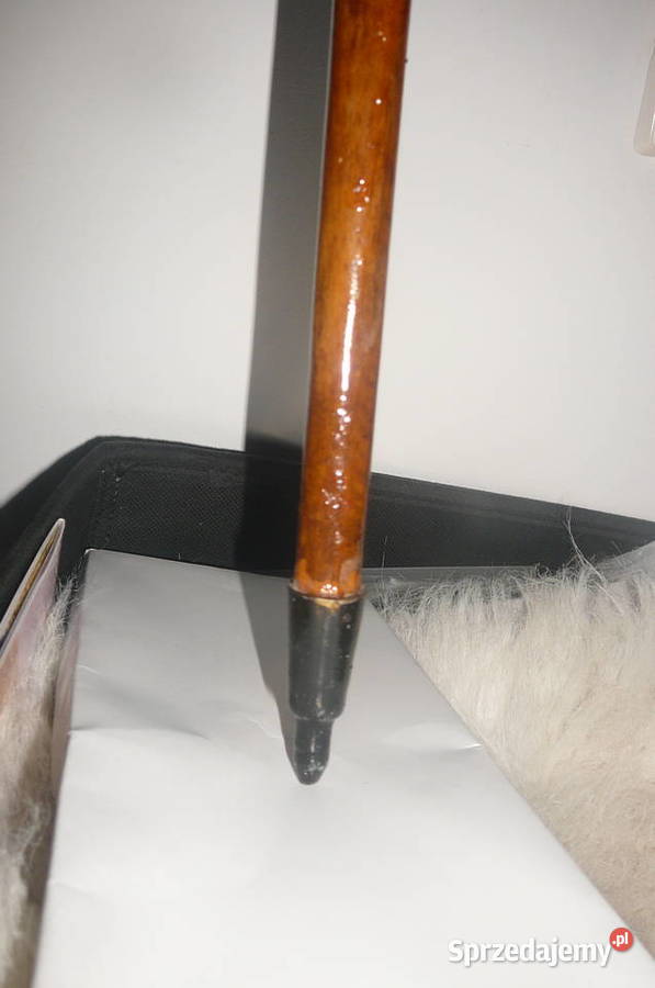 Drewniana laska z misiem stara Wrocław