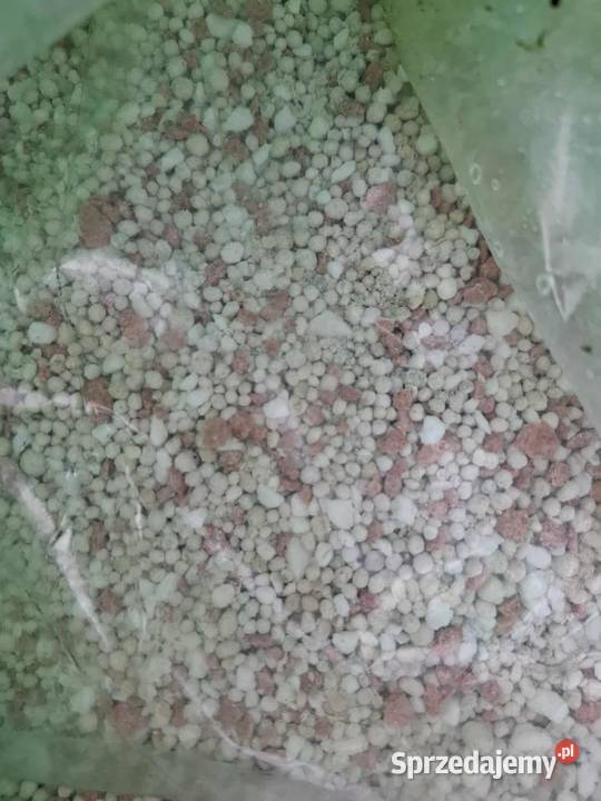 NPK 71929 podlaskie Poryte