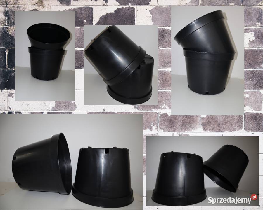 12LPB2 ogrodnik warzywa drzewka owocowe duże Zagnańsk