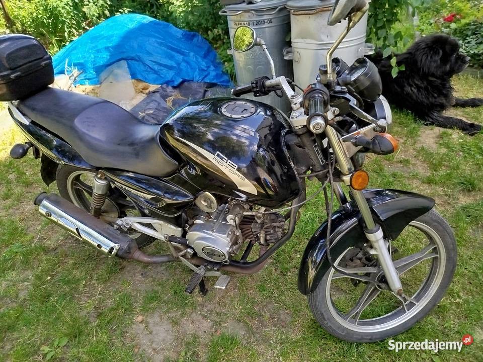 ZIP neken Zipp Zawiercie sprzedam