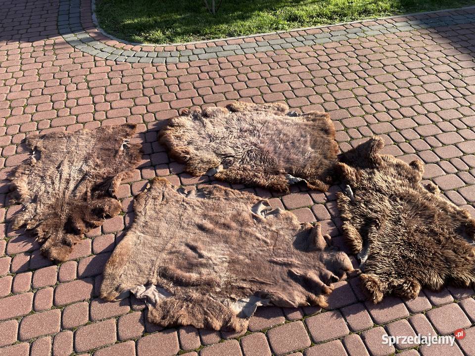 Skóry owcze wyprawione Pozostałe podlaskie