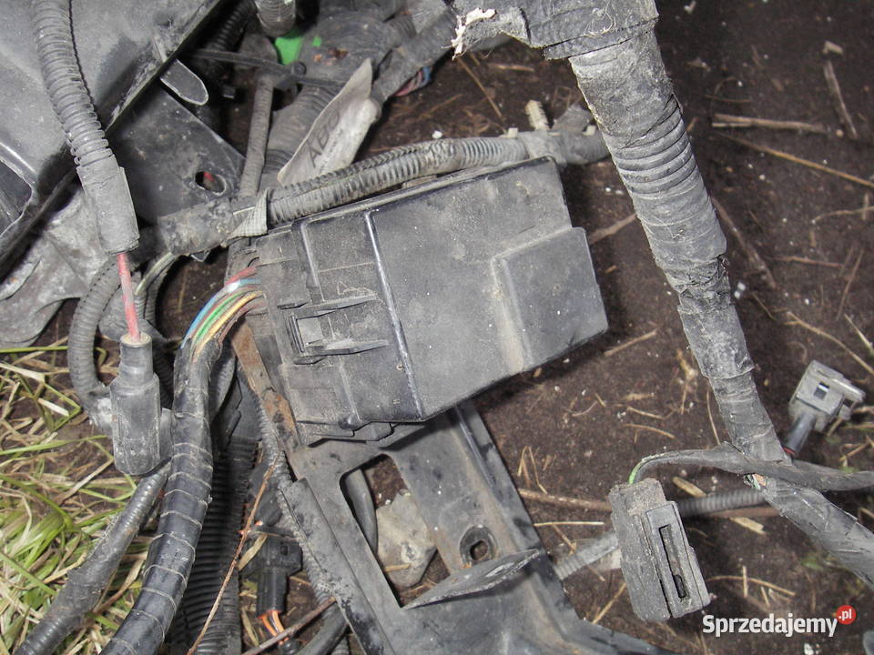 Kompletna wiązka elektryczna silnika Ford Rok produkcji 2006 Wyszków