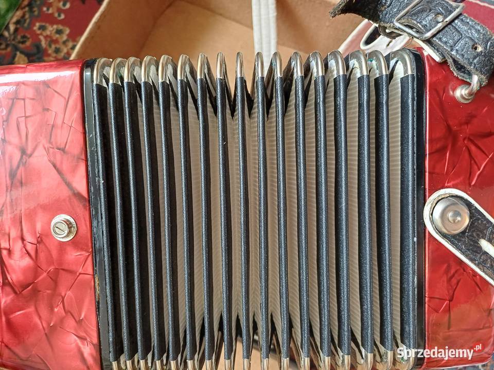 Akordeon DELICJA ARNALDO IV 80 basów Sosnowiec