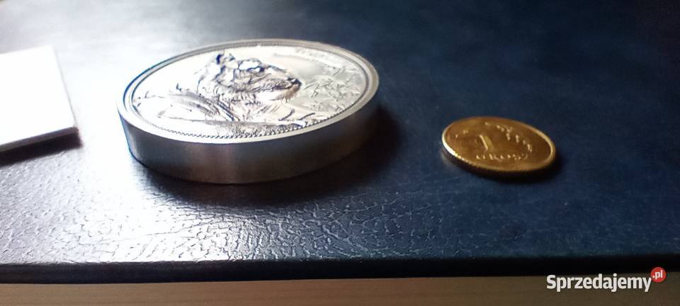 Stare monety Medal 235 Lesko