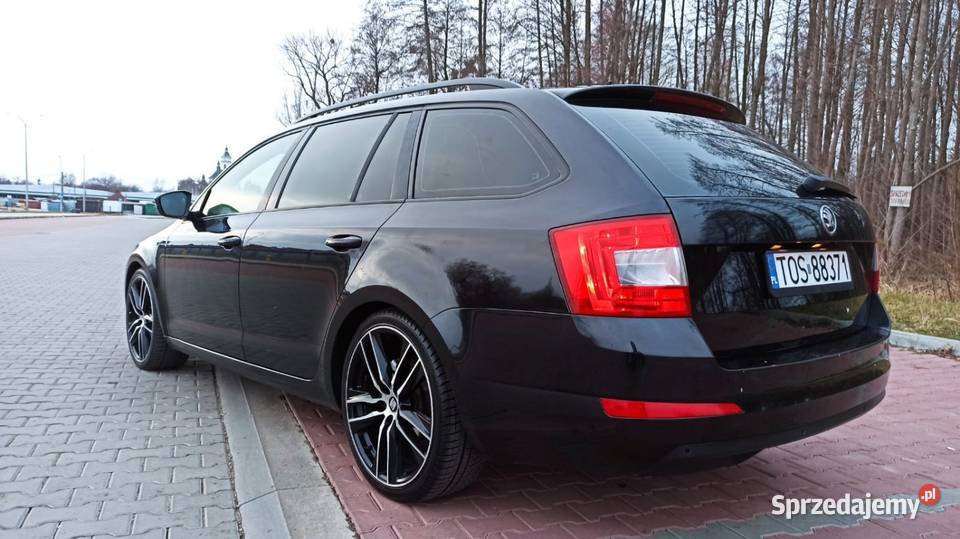 20 TDI DSG 19 koła bogato wyposażona automatyczna Octavia Samochody osobowe Ostrowiec Świętokrzyski