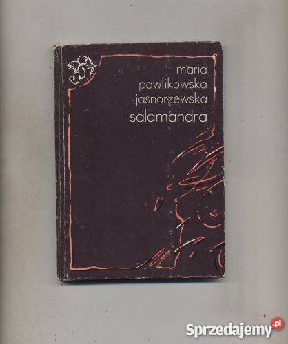 Salamandra Wybór Proza i poezja Szczecin