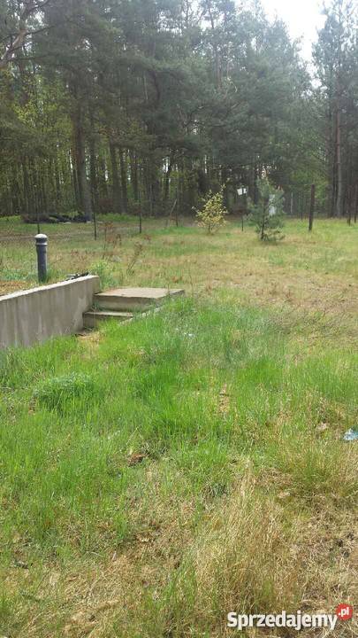 działka budowlana 4340m2 Przykory gmina Pniewy Przykory sprzedam