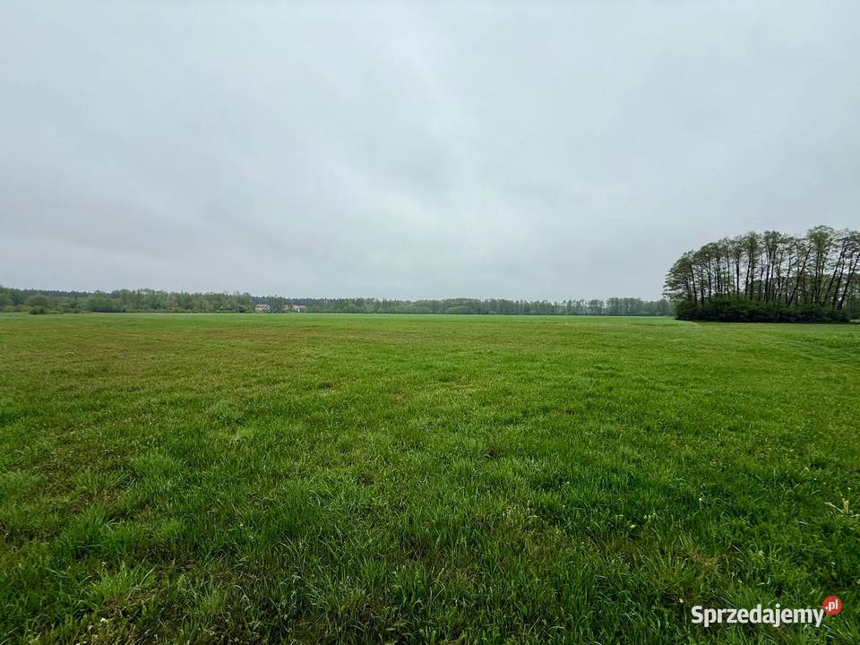 Młyny Piekarskie gmDobradziałka rolna na Sprzedaż wielkopolskie sprzedam