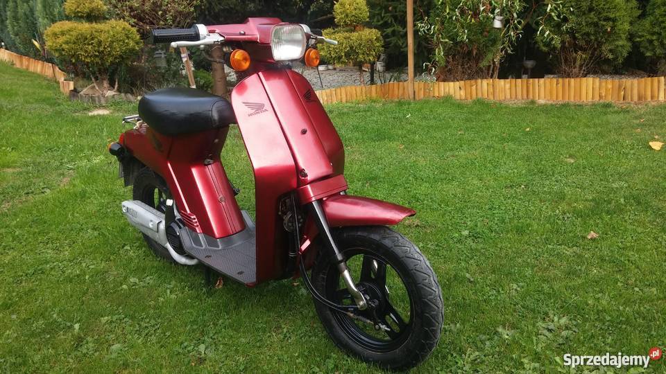 Honda Melody Mini NP50 Sucha Beskidzka