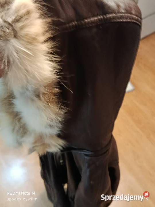 Kurtka skórzana damska Wodzisław Śląski
